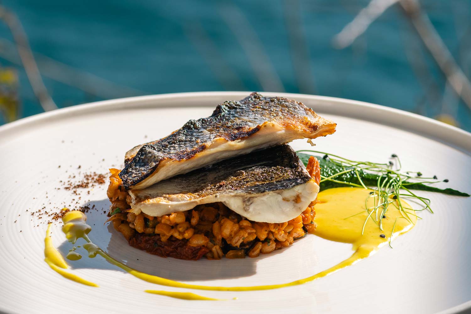 Sea Bass​